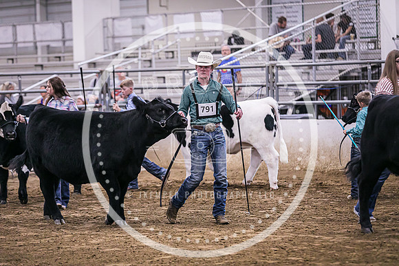 Beef Show-8475