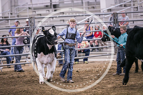 Beef Show-8477