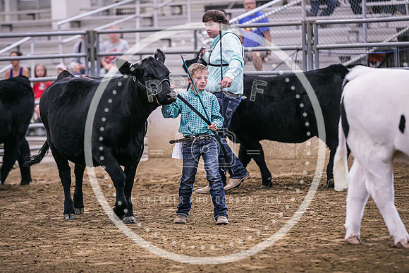 Beef Show-8478