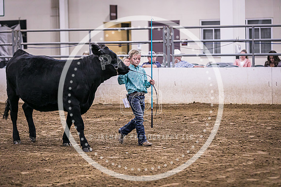 Beef Show-8480