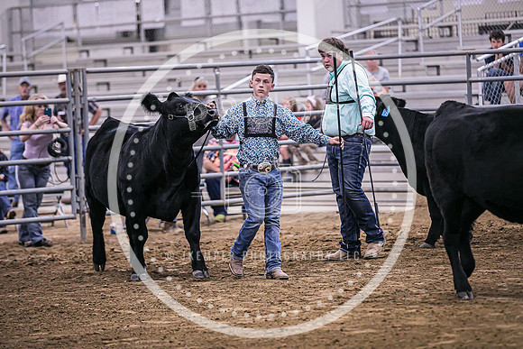 Beef Show-8479