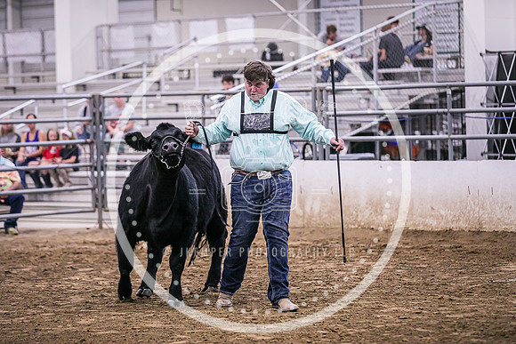Beef Show-8481