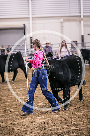Beef Show-8487