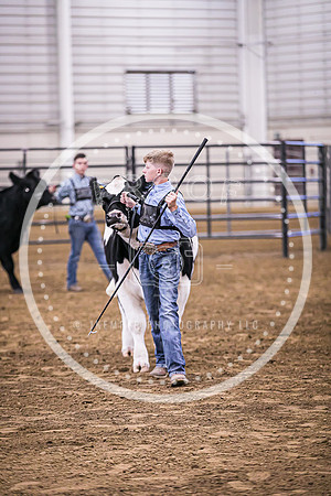 Beef Show-8484