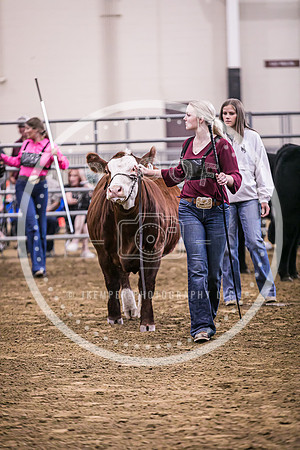 Beef Show-8486