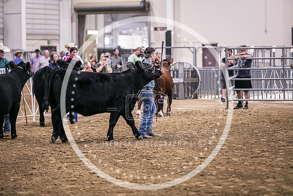 Beef Show-8485
