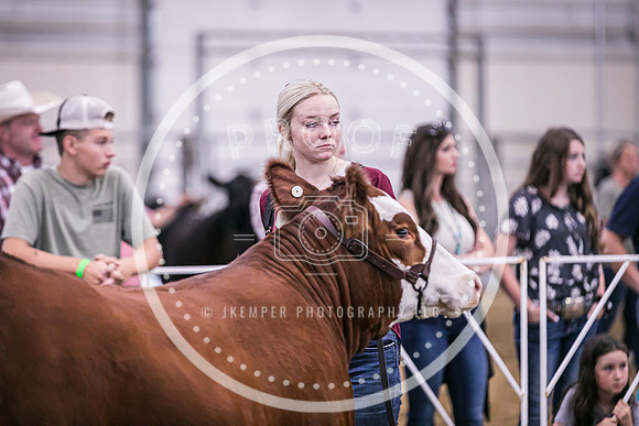 Beef Show-8488
