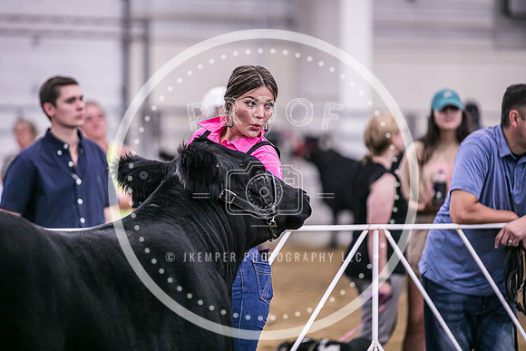 Beef Show-8490