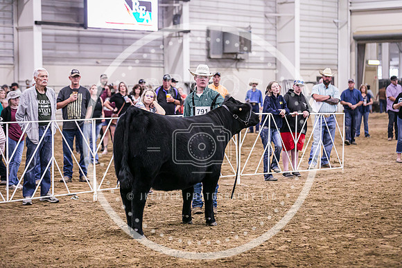 Beef Show-8492