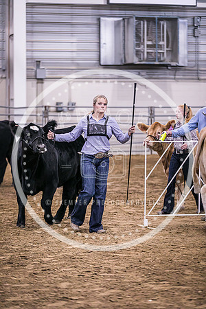 Beef Show-8493