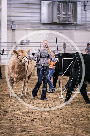 Beef Show-8494