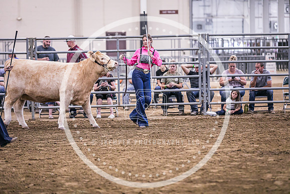 Beef Show-8495