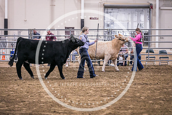 Beef Show-8496