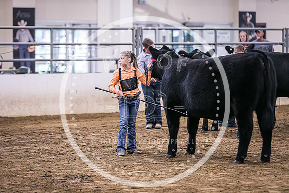 Beef Show-8497