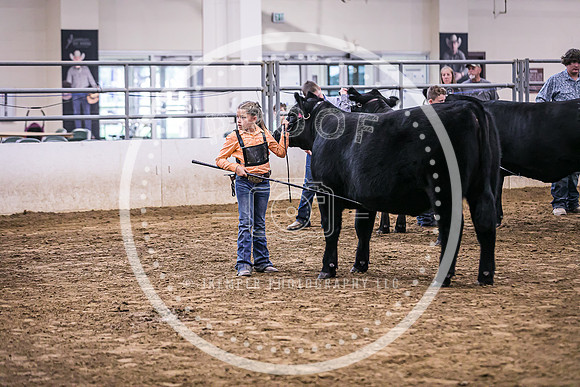 Beef Show-8498