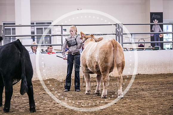Beef Show-8499