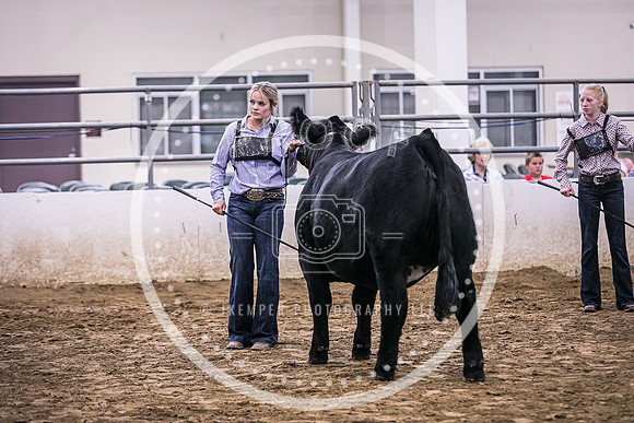Beef Show-8500