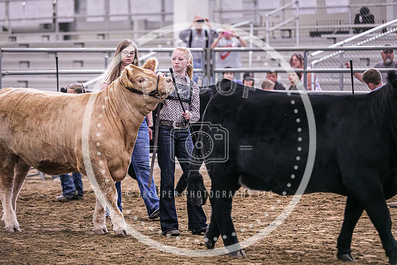 Beef Show-8502