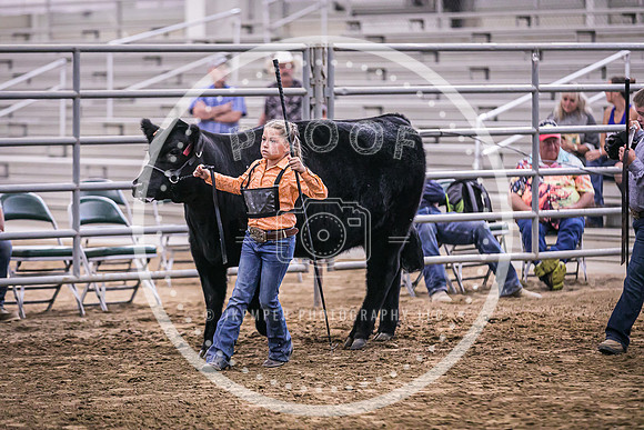 Beef Show-8503