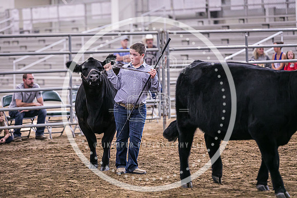 Beef Show-8504