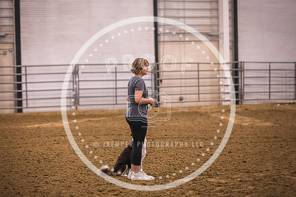 Dog Agility-0001