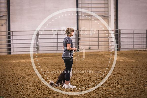 Dog Agility-0002
