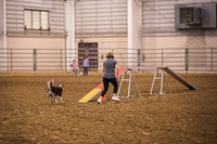 Dog Agility-0006