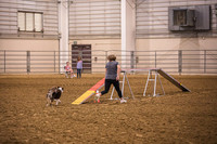 Dog Agility-0007