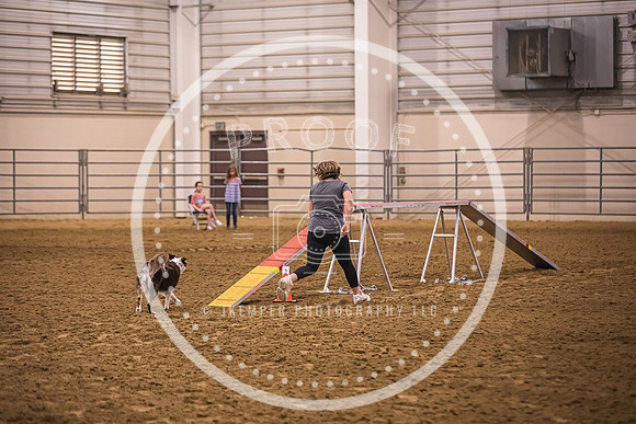 Dog Agility-0007
