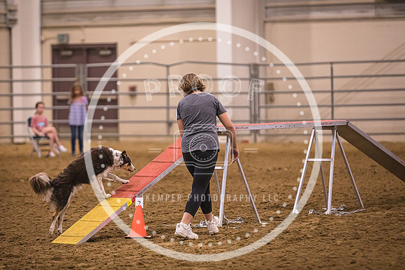Dog Agility-0009