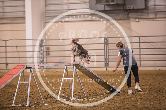 Dog Agility-0013