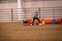Dog Agility-0014