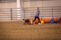 Dog Agility-0015