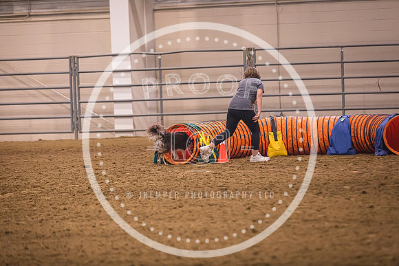 Dog Agility-0015