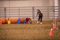 Dog Agility-0017