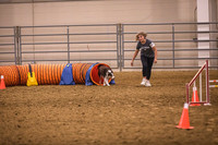 Dog Agility-0018