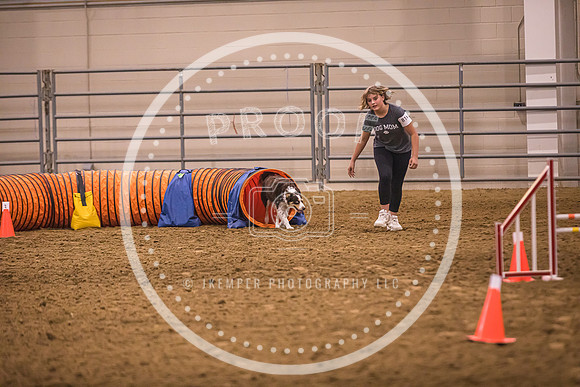 Dog Agility-0018