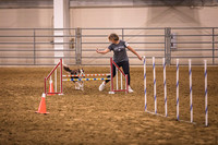 Dog Agility-0019
