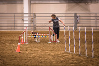 Dog Agility-0020