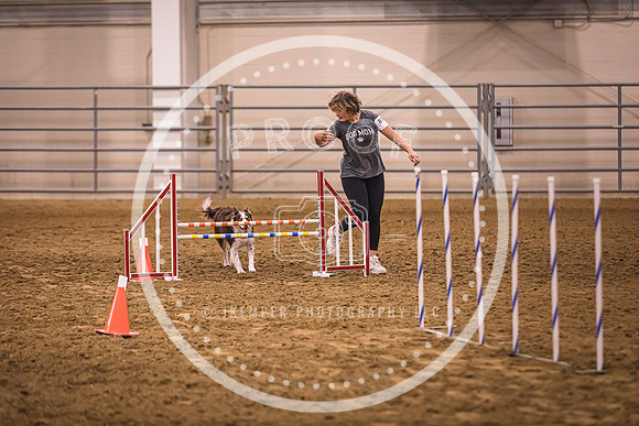 Dog Agility-0020