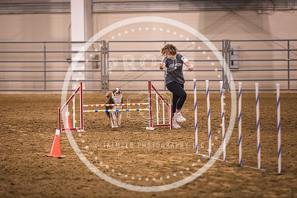 Dog Agility-0021