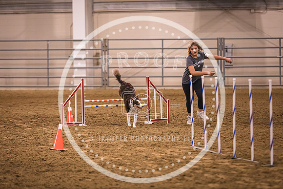 Dog Agility-0022
