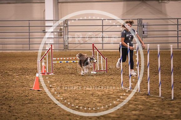 Dog Agility-0023