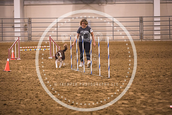Dog Agility-0024