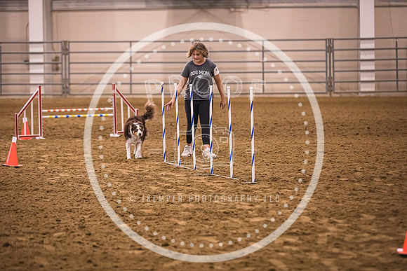 Dog Agility-0025