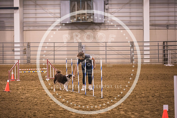 Dog Agility-0026