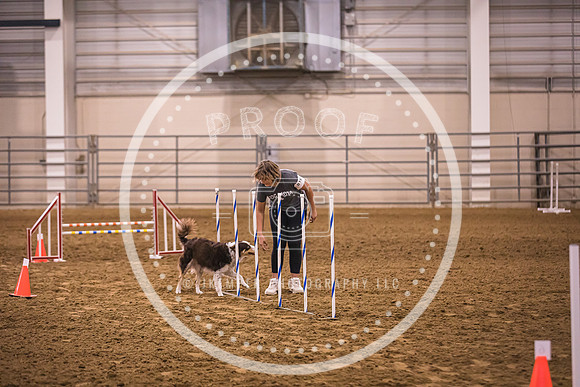 Dog Agility-0027