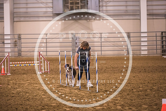 Dog Agility-0028