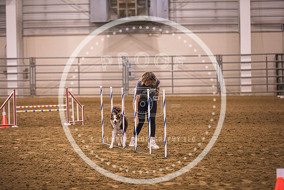 Dog Agility-0029