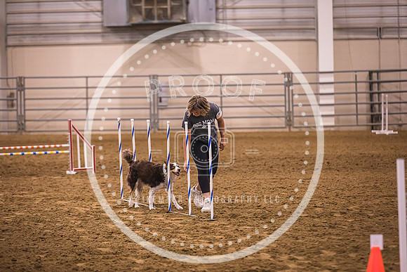 Dog Agility-0030